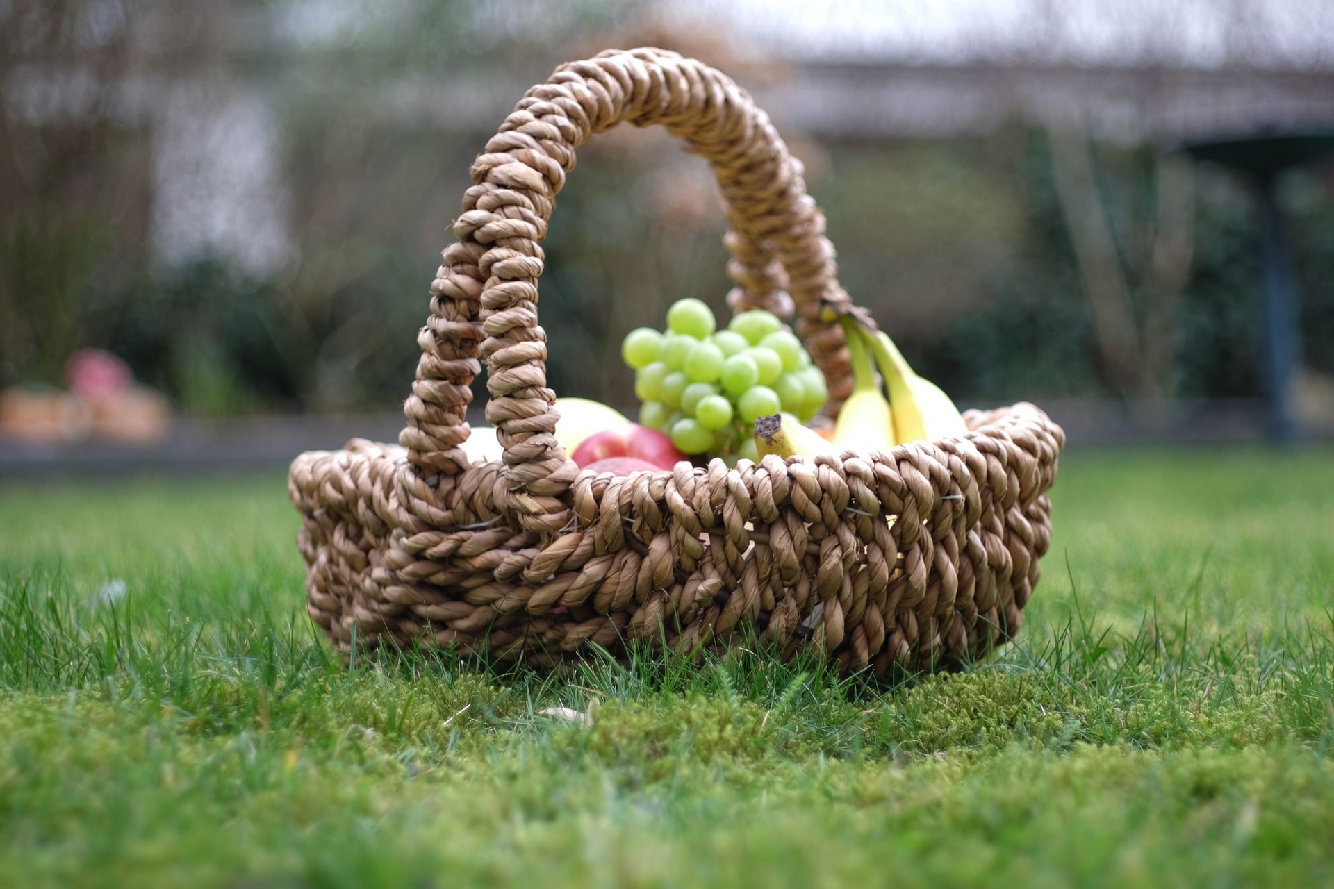 Picknickkorb gefüllt mit Obst steht auf einer Wiesen