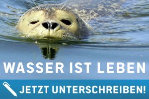 Wasser ist Leben. Jetzt unterschreiben. Seehund schwimmt