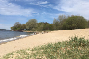 Strand bei Sonnenschein in Hasselfelde mit Blick Richtung Norden im Hintergrund Wald