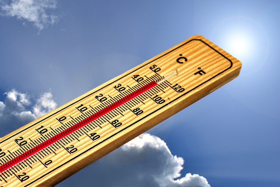 Thermometer bei fast 50 Grad Celsius vor strahlendem Himmel