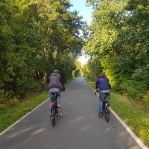 Zwei Radfahrer sind von hinten zu sehen. Sie sind unterwegs auf einer Fahrradstraße im Grünen.