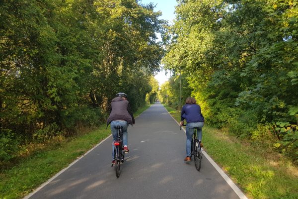 Zwei Radfahrer sind von hinten zu sehen. Sie sind unterwegs auf einer Fahrradstraße im Grünen.