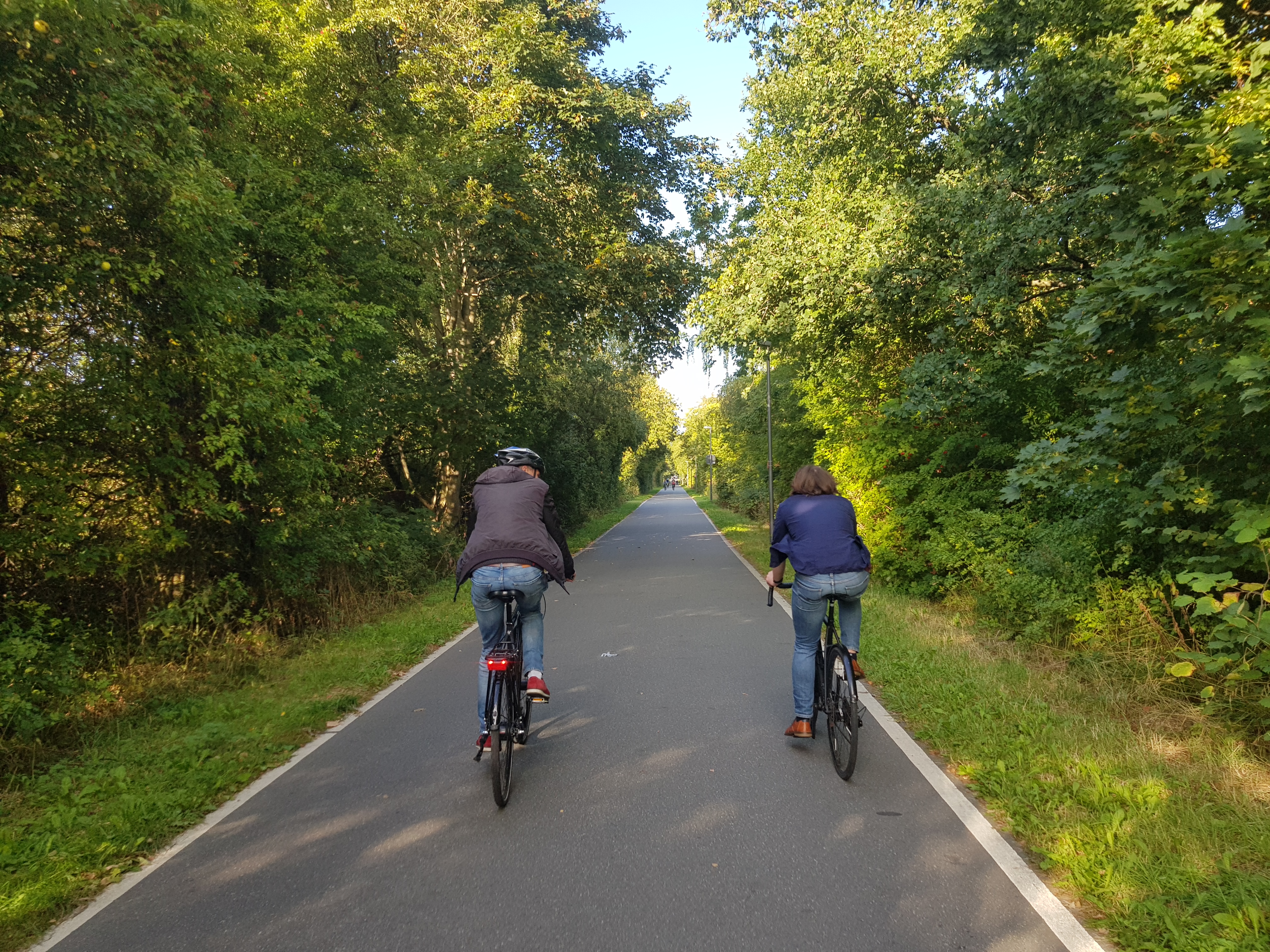 Zwei Radfahrer sind von hinten zu sehen. Sie sind unterwegs auf einer Fahrradstraße im Grünen.