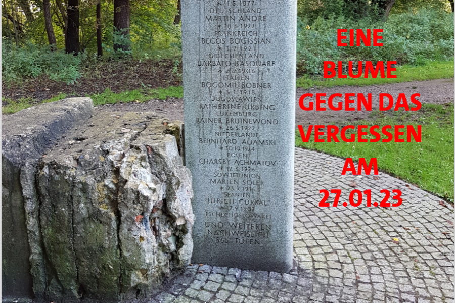 Eine Blume gegen das Vergessen gegen das Vergessen. 27.1.23